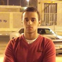 Amr EL-halawany