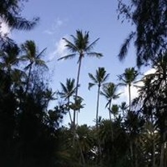 EightOeight Spin Master