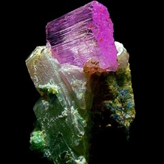 Johannes Fuchsmann 1