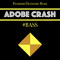 Adobe Crash