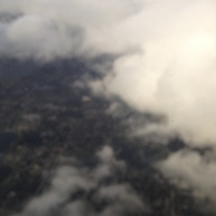droned