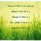 70707070omar