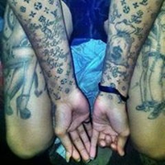 Blind Magnolia P. Louie