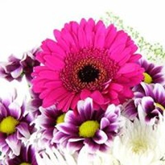 Altovise Keshia McDowell