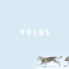 VOCUS