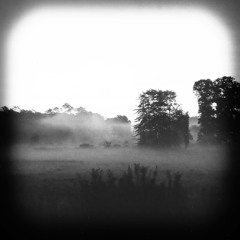 Sleeping:Through:Summer