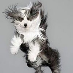 Laura Coen Sacerdotti