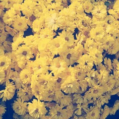 soomina