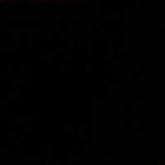 Brina Dreadedred Reed