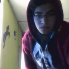 luxo pz