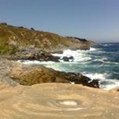 Rodrigo Antonio Loyola