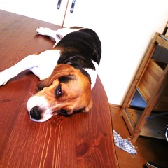 nagiii (o_o)／japan