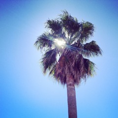 John-David Burkavage