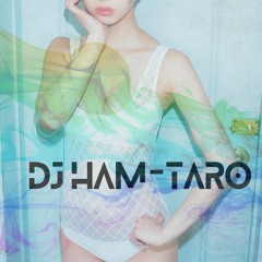 DJ HAM-TARO