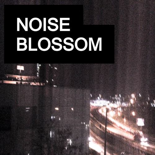 Noise Blossom’s avatar