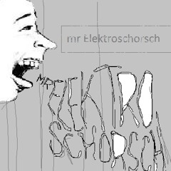 [mr.] €lektro$chorsch