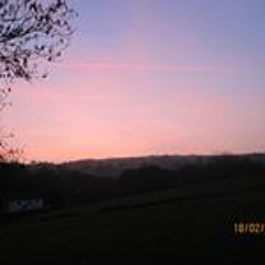 Damiano Nicolas Pignataro