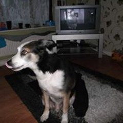 Katie Louise-Fewtrell