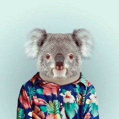 waylanthekoala