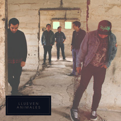 Llueven Animales