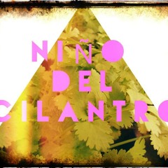 Niño Del Cilantro