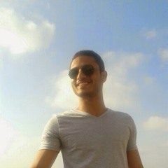 Mohamed Elgammal