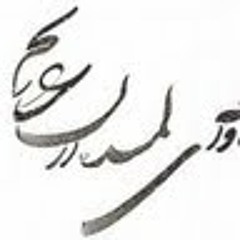 sh amini1988