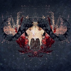 South American Buffalos