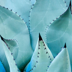 Edwina Reistad-Wesenberg