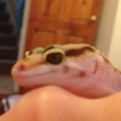 Kemmy1