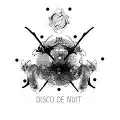Disco De Nuit