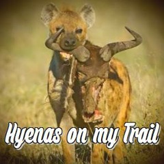 Hyenas on my Trail