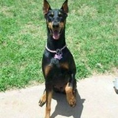 Chaifton Smiley Jones