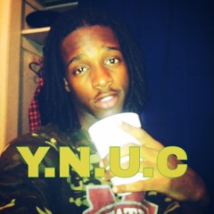 Official_K9