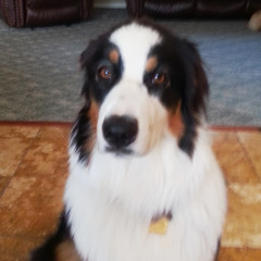 Eddie