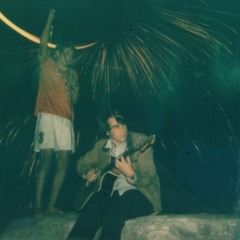 Parrot with Principles