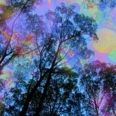 SOUND OF FOREST (GOA MINIMALE).mp3