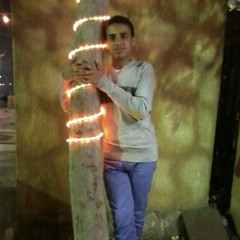 user342268881