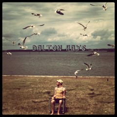 Dalton Hays