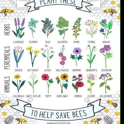 Prune's Got Pound Cake