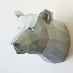 Bear On The Loose