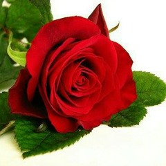 asmaa_helaly