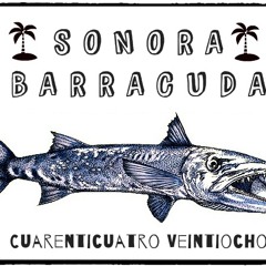 Sonora Barracuda