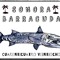 Sonora Barracuda
