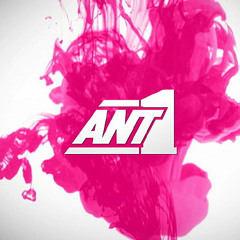 DJ Ant One