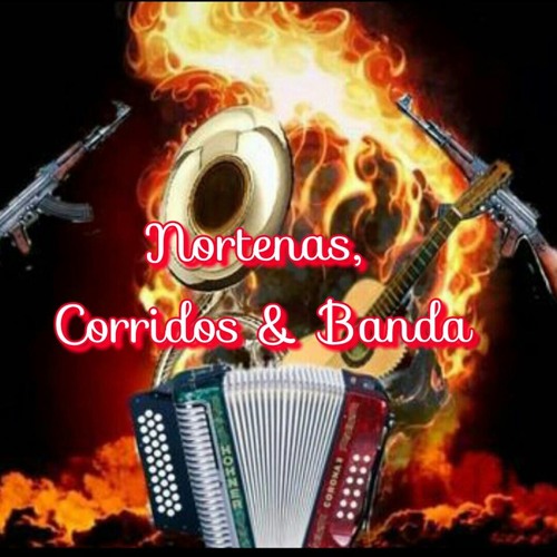 Nortenas,Corridos & Banda’s avatar