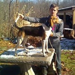 Jordan Countryboy Price