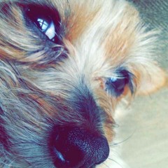 Ramorez