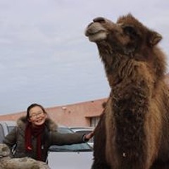 Bayarmaa Erdenebayar