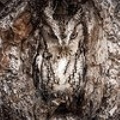 blindlog
